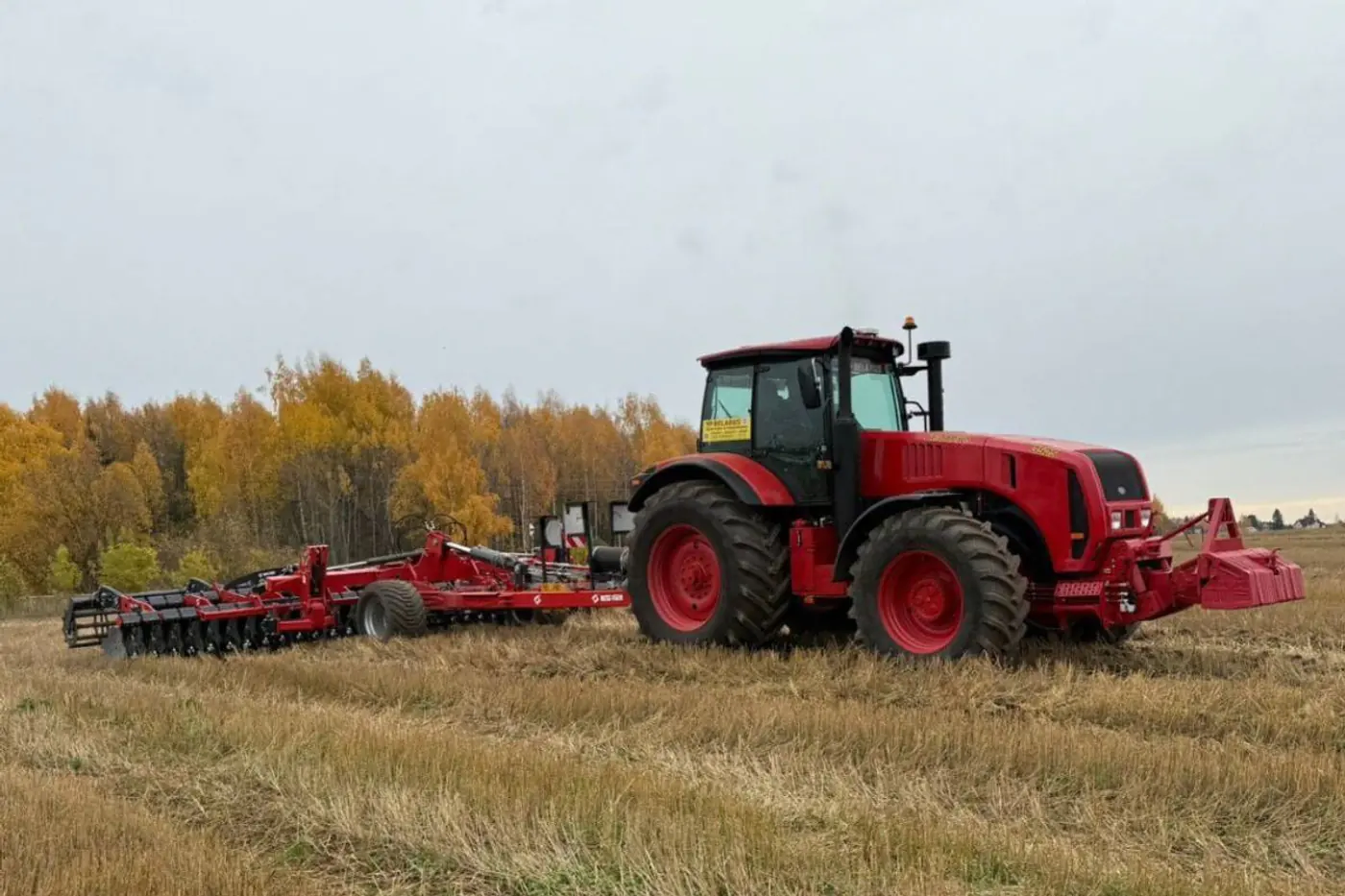 В Беларуси разрешили возвращать права раньше срока – комментарий ГАИ