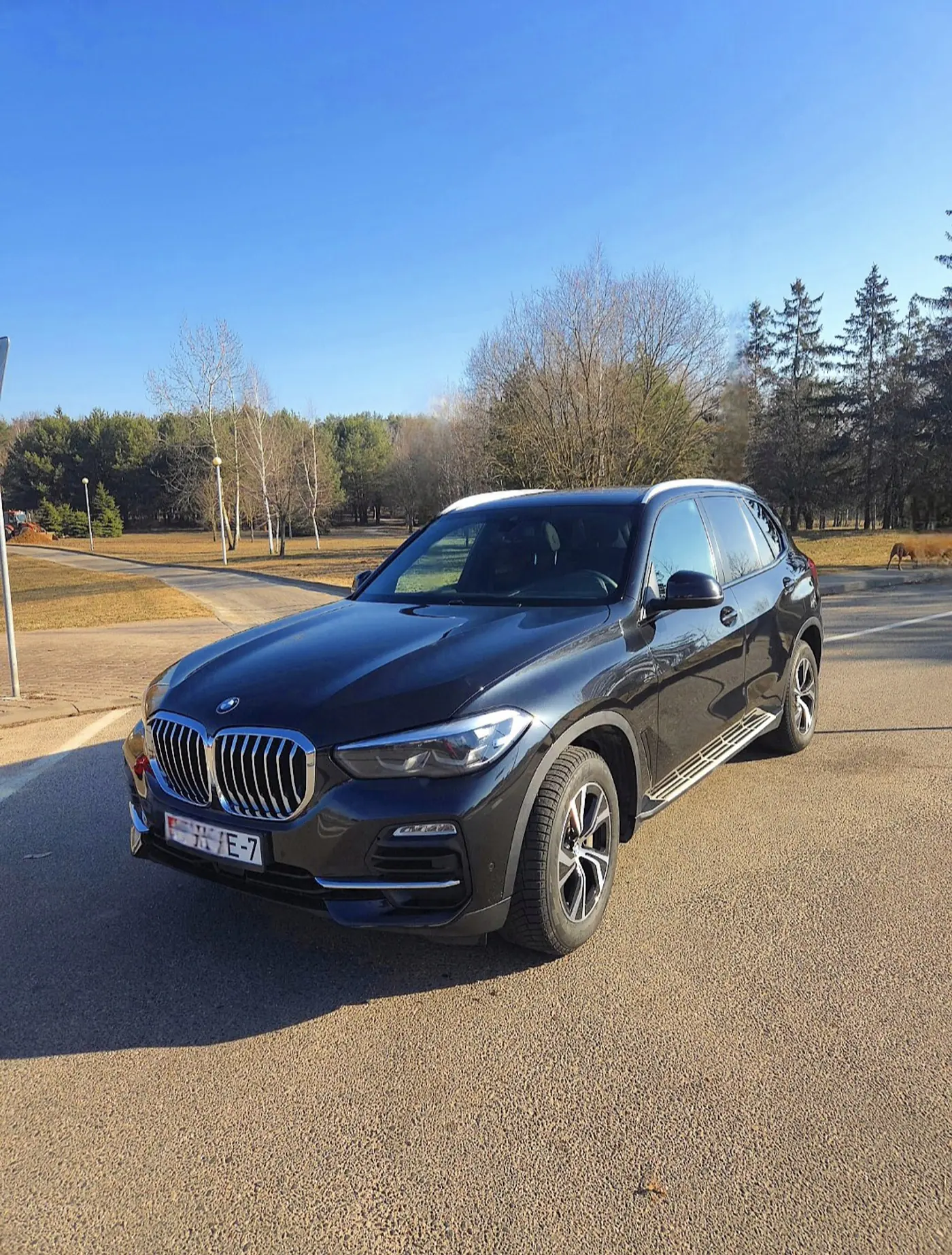 BMW X5 IV (G05/G18), 2019