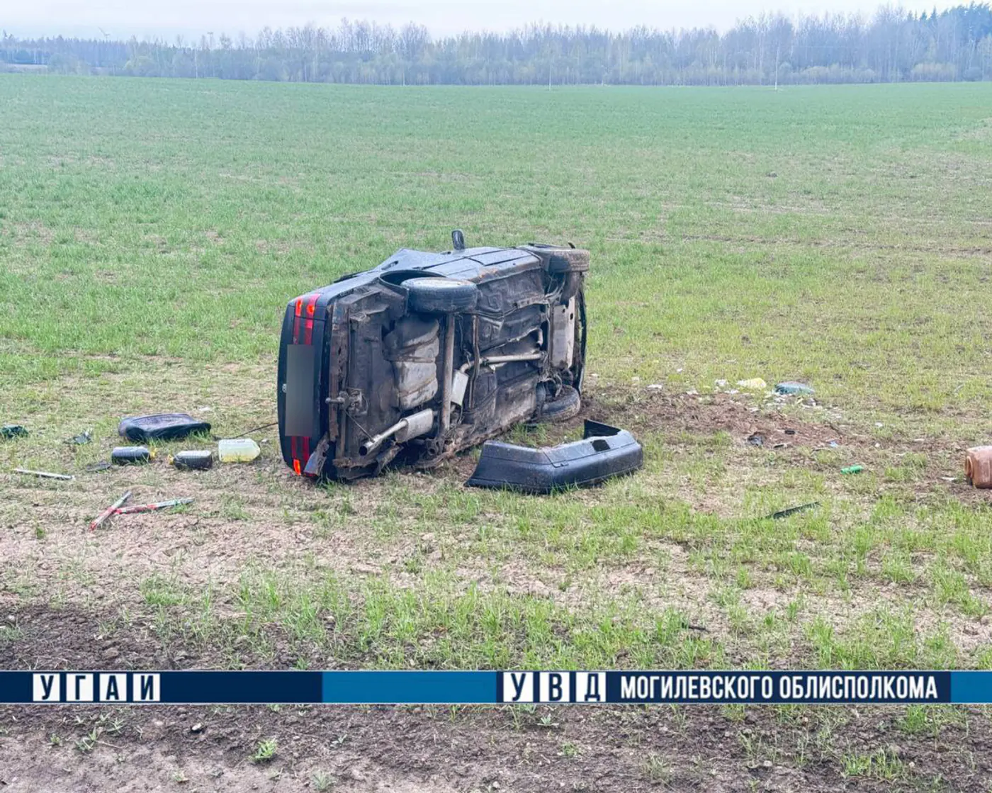 Встреча с сохатым на трассе: автомобиль в кювете, трое мужчин в больнице