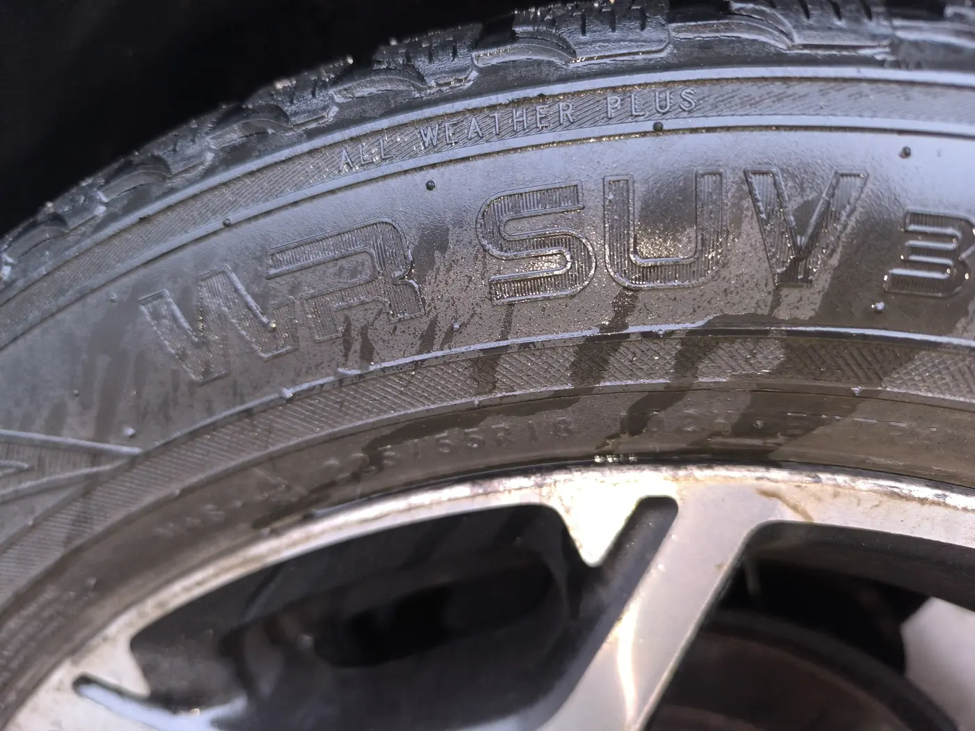 R18 225 55 Nokian WR3