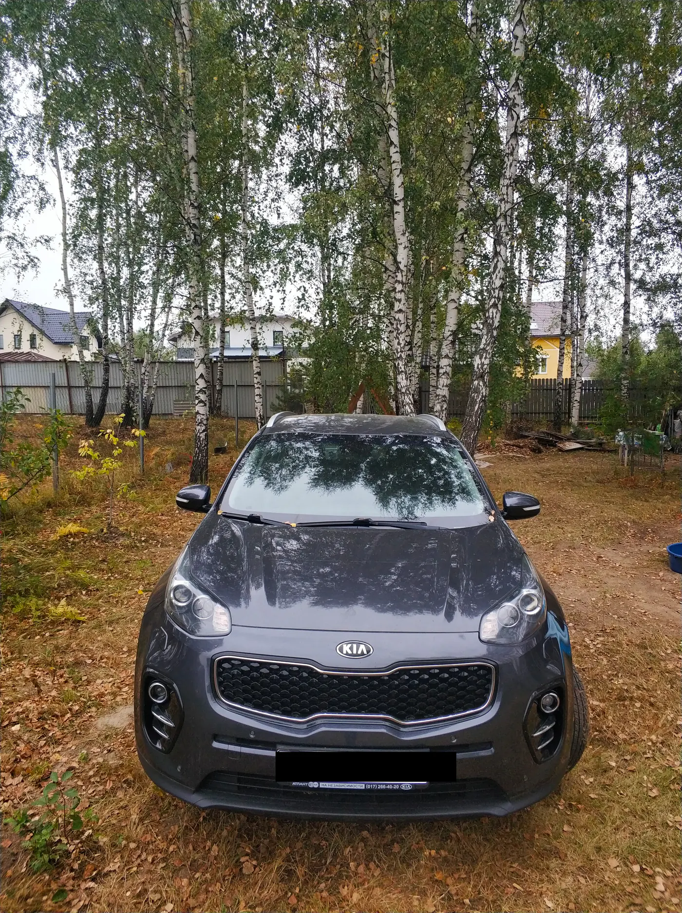 Kia Sportage IV, 2017