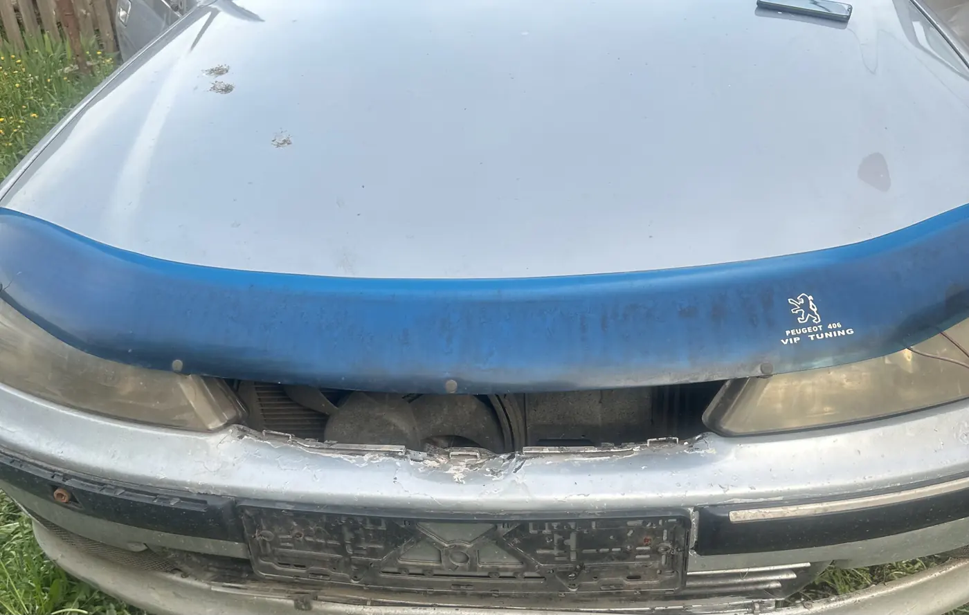 Дефлектор капота к Peugeot 406 2002