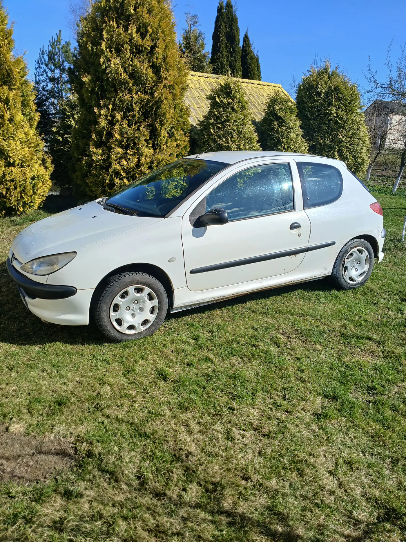 Peugeot 206 I, 2003