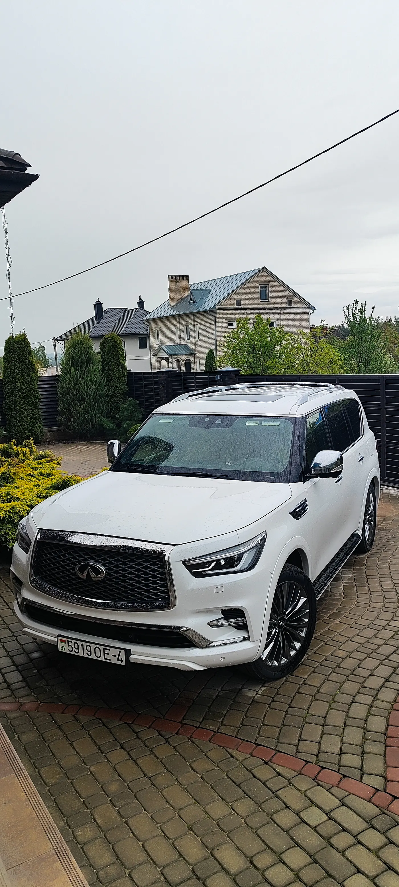 Infiniti QX80 I Рестайлинг 3, 2020