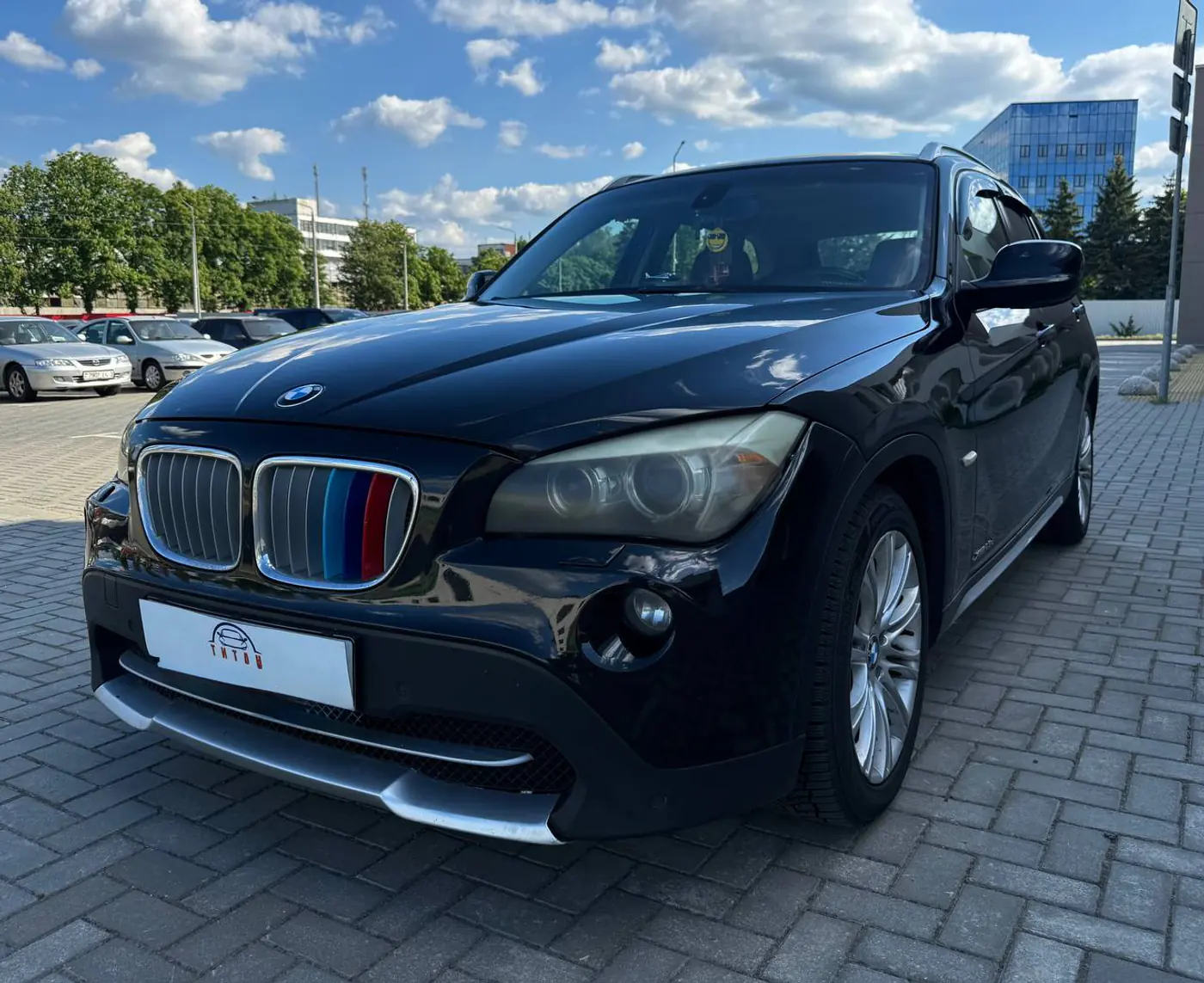 BMW X1 I (E84), 2010