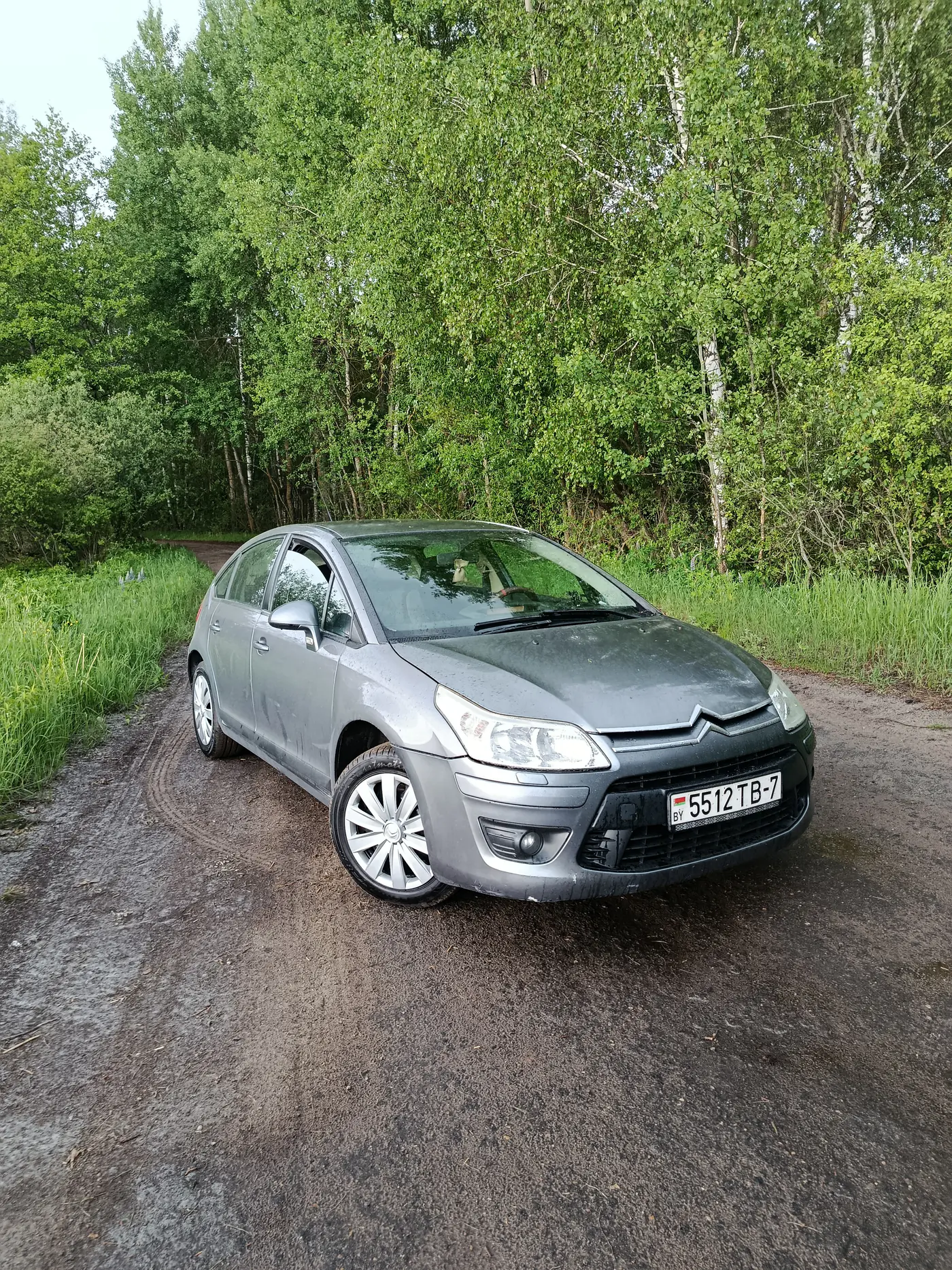 Citroen C4 I Рестайлинг, 2009