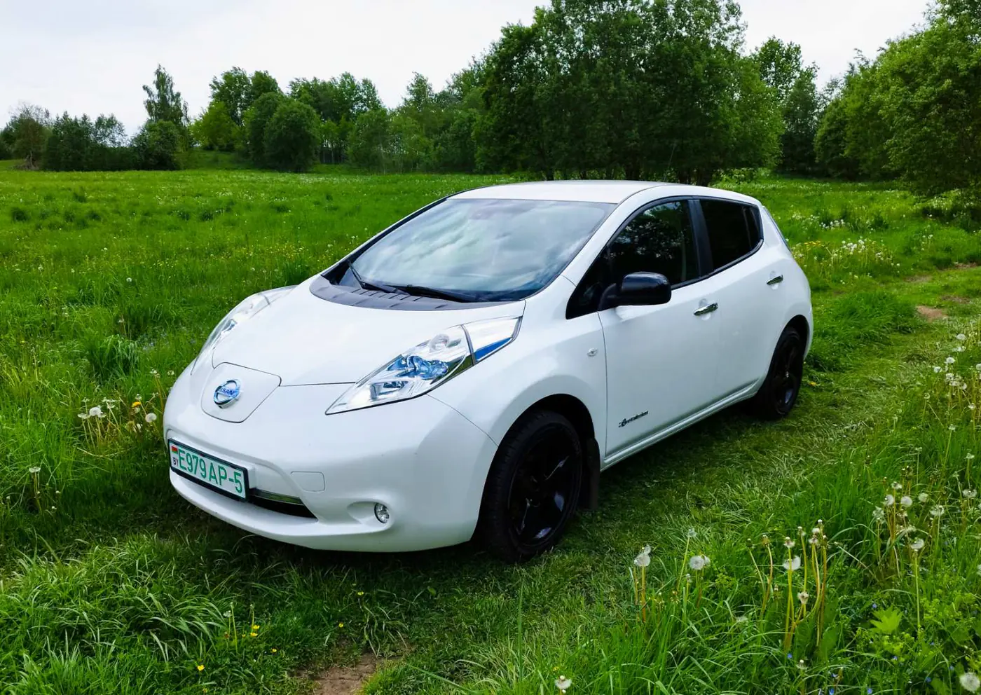 Nissan Leaf I (ZE0/AZE0), 2017