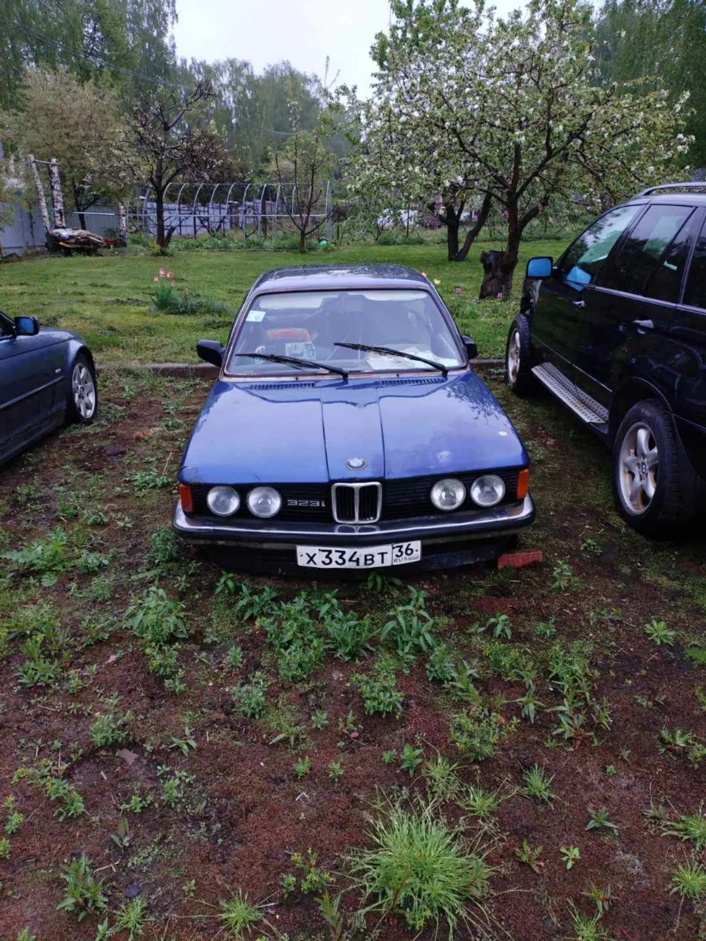 BMW 3 series I (E21), 1976