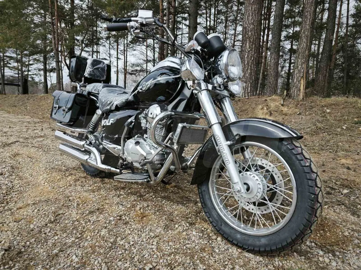 Motoland Wolf 300, 2025