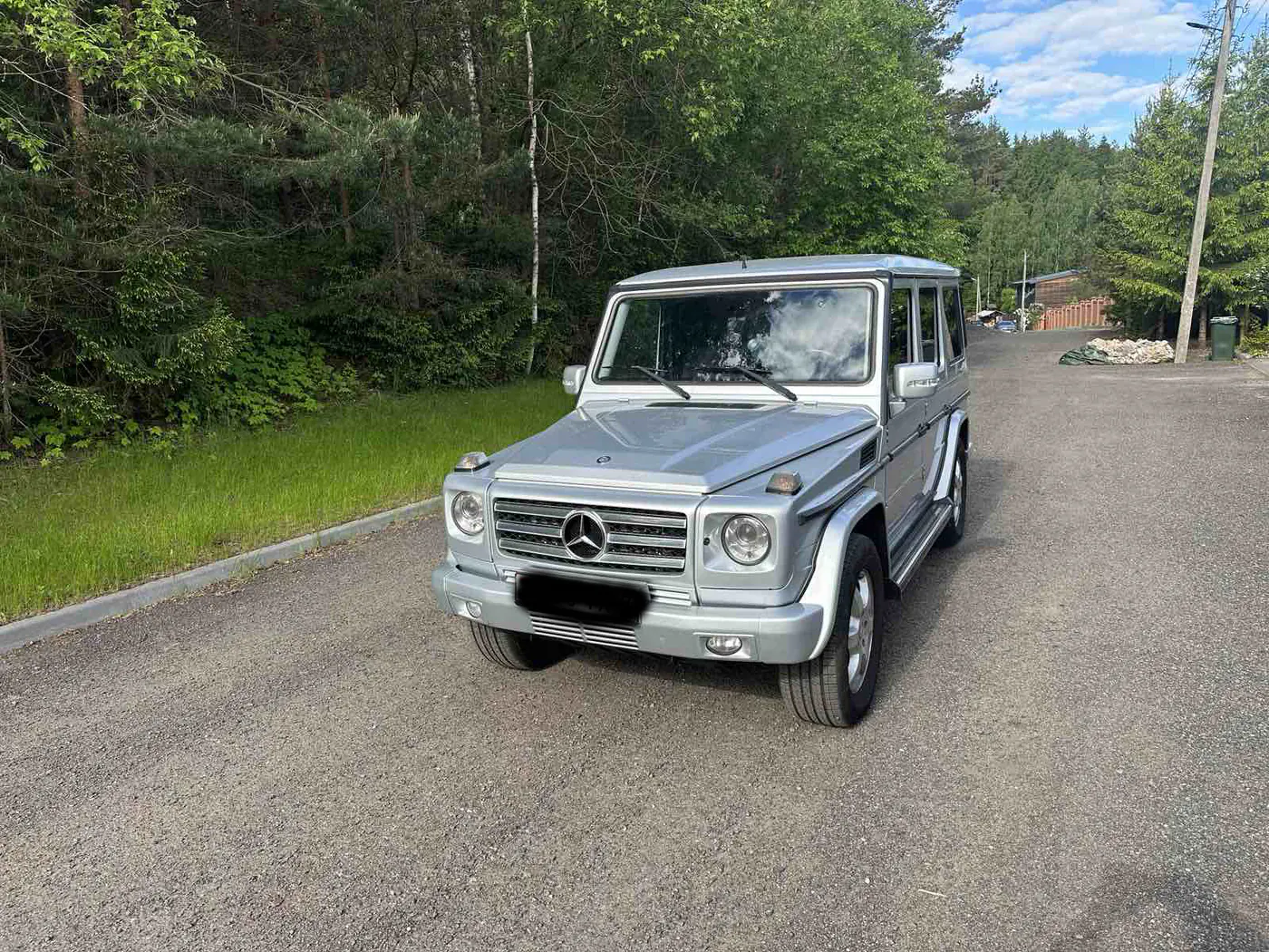 Mercedes-Benz G-klasse I (W461) Professional, 2010
