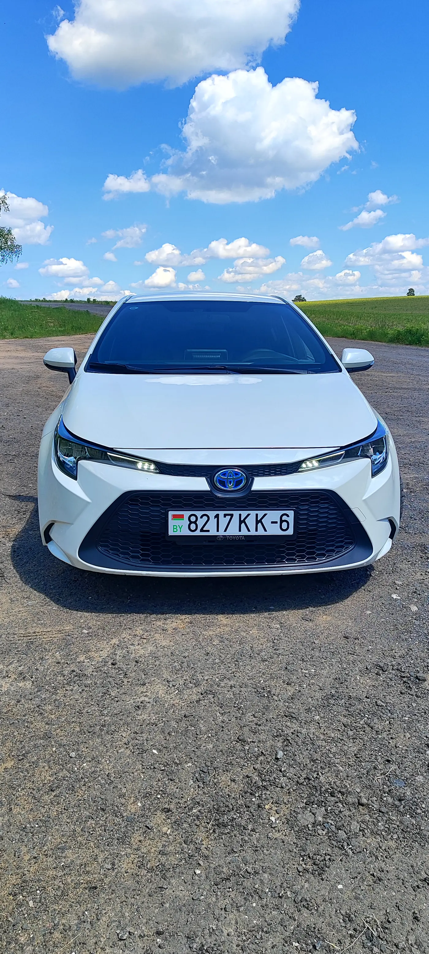 Toyota Corolla XII (E210), 2020