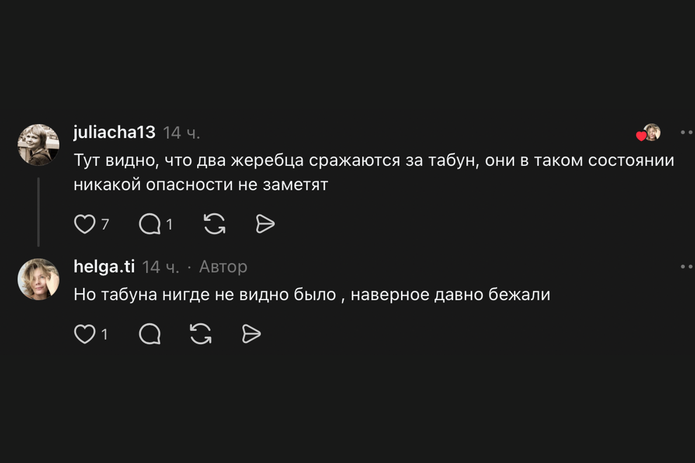 Дикие лошади на М6: жеребцы кинулись прямо под колеса