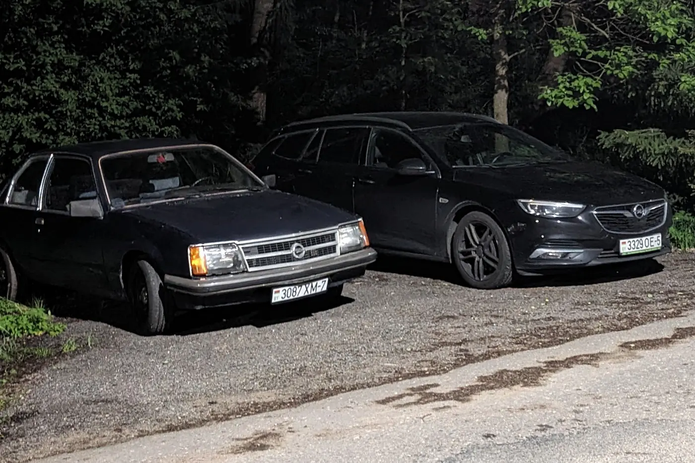 47-летний Senator, Rekord и Commodore: эта молодая семья очень любит старые Opel