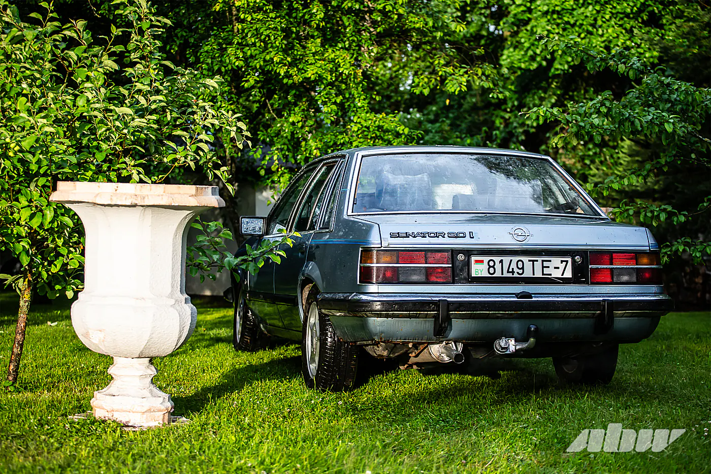 47-летний Senator, Rekord и Commodore: эта молодая семья очень любит старые Opel