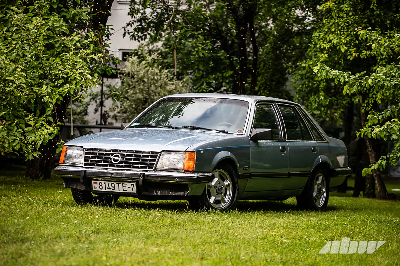 47-летний Senator, Rekord и Commodore: эта молодая семья очень любит старые Opel
