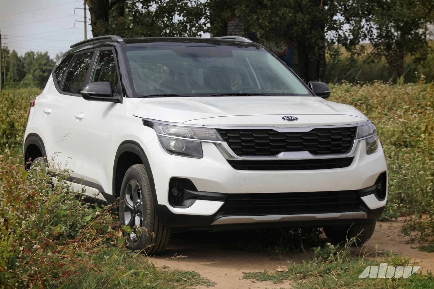 Не те, кем кажутся: считаем стоимость обслуживания Volkswagen Taos и Kia Seltos