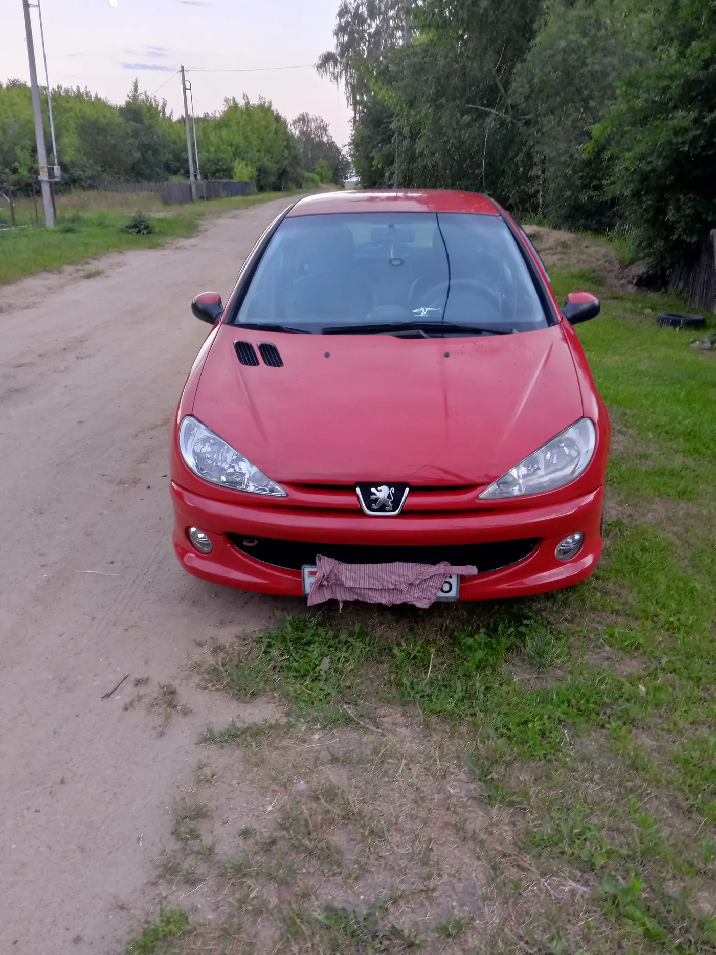 Peugeot 206 I, 2006