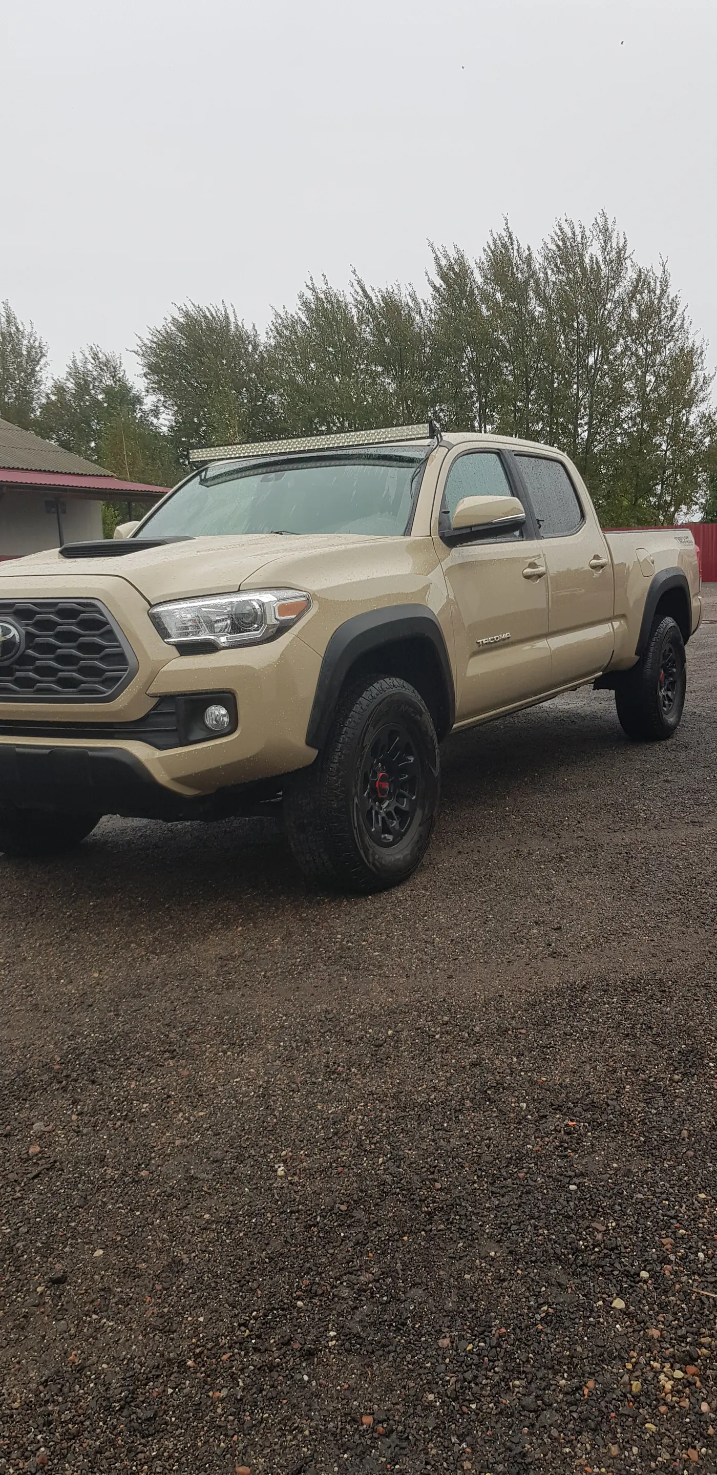 Toyota Tacoma III, 2019