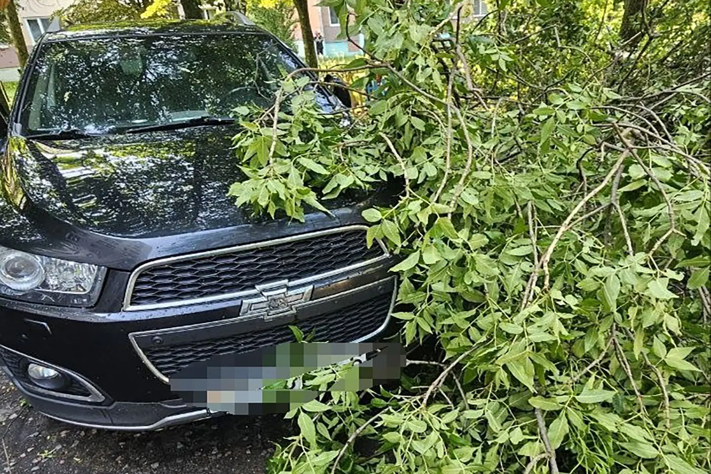 Ураган в Бобруйске оставил без машин более десятка водителей