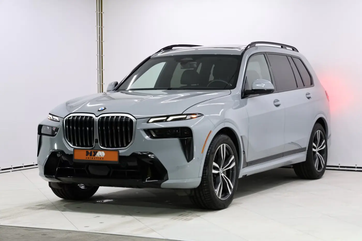 BMW X7 I (G07), 2022