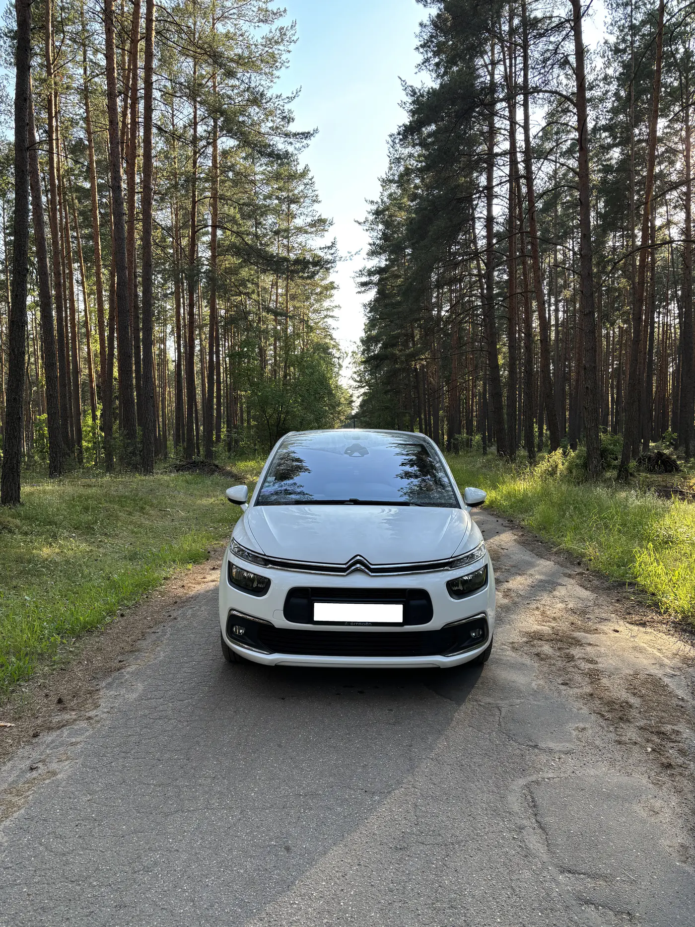 Citroen C4 Picasso II Рестайлинг, 2017