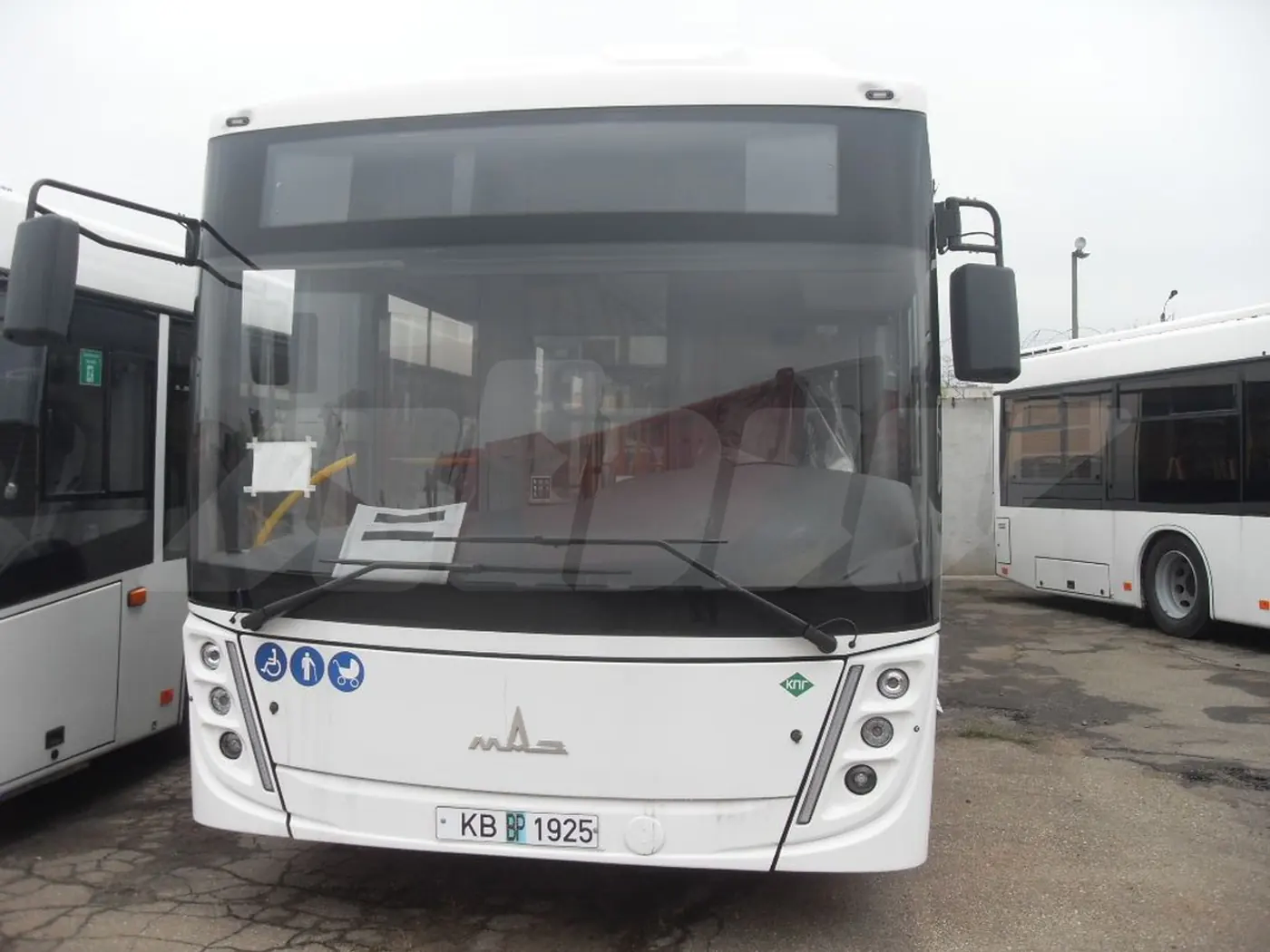 МАЗ 203 2024