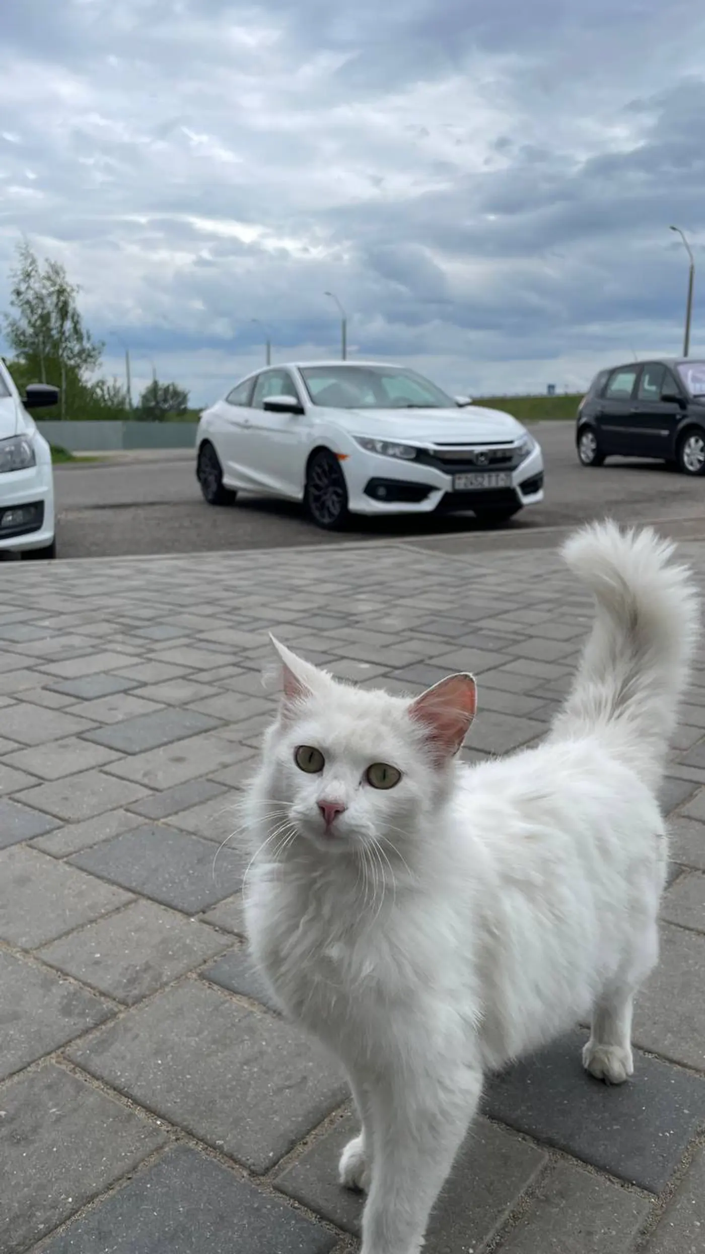 Honda Civic X, 2018