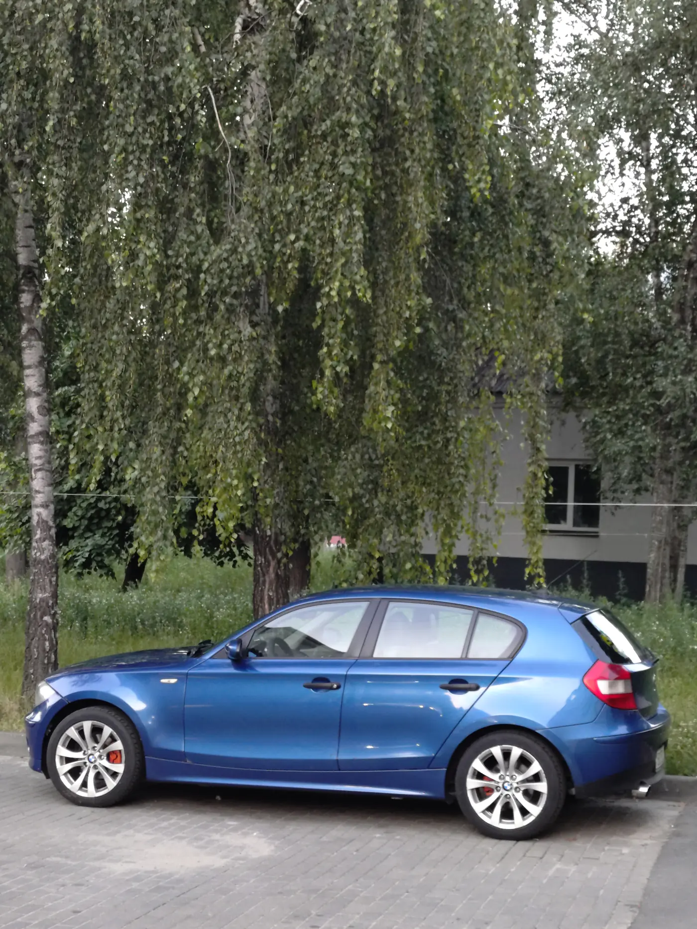 BMW 1 series I (E81/E82/E87/E88), 2006