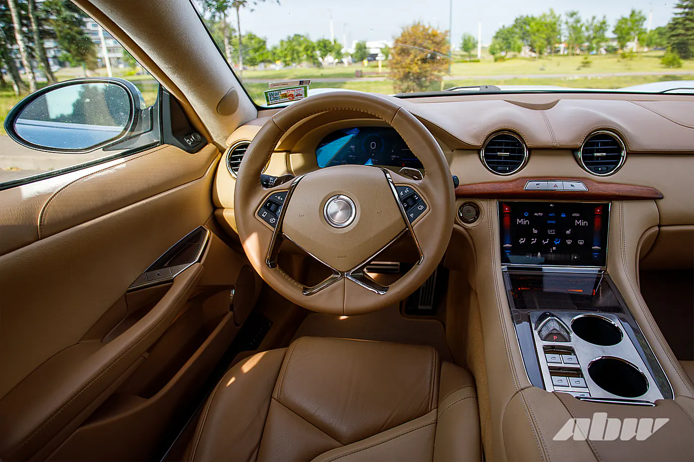 Когда китайцы спасали американскую Karma: изучаем редкий гибрид Revero