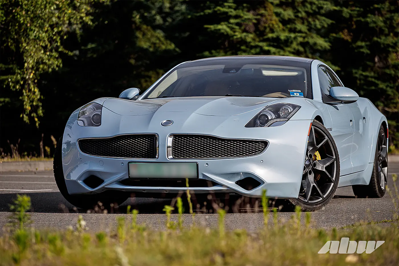 Когда китайцы спасали американскую Karma: изучаем редкий гибрид Revero