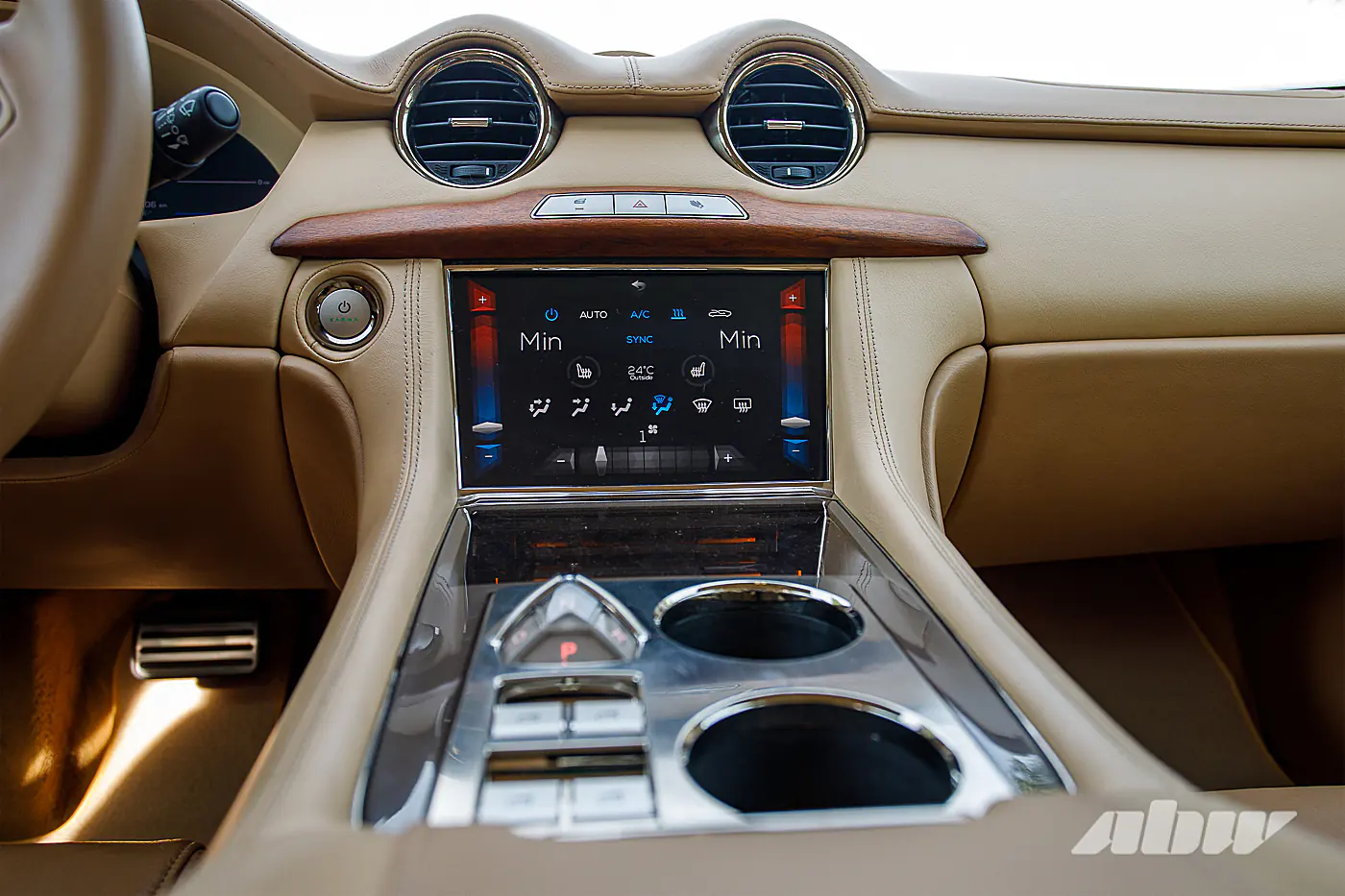 Когда китайцы спасали американскую Karma: изучаем редкий гибрид Revero