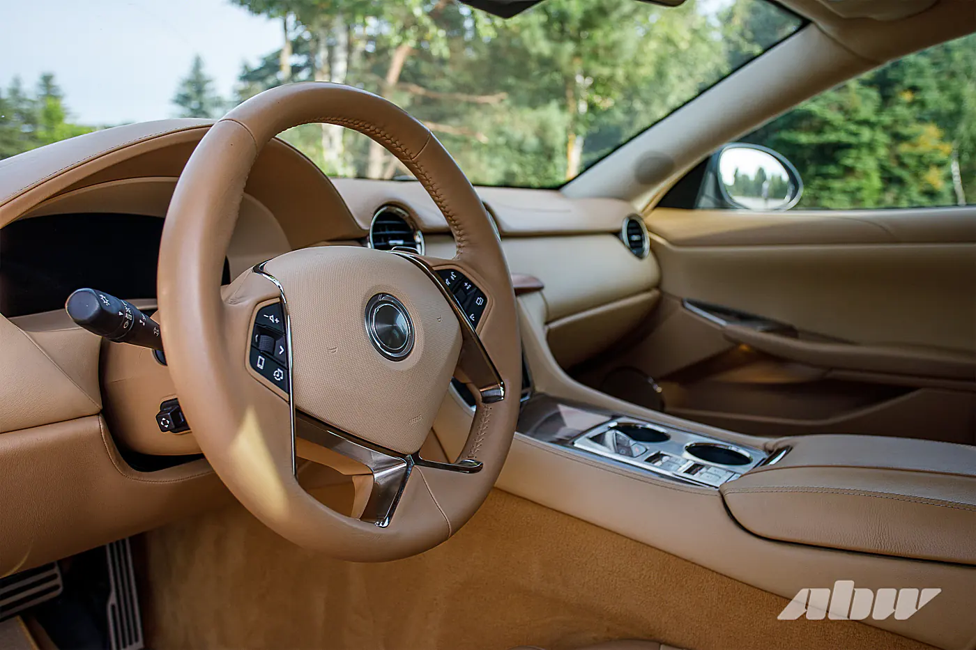 Когда китайцы спасали американскую Karma: изучаем редкий гибрид Revero