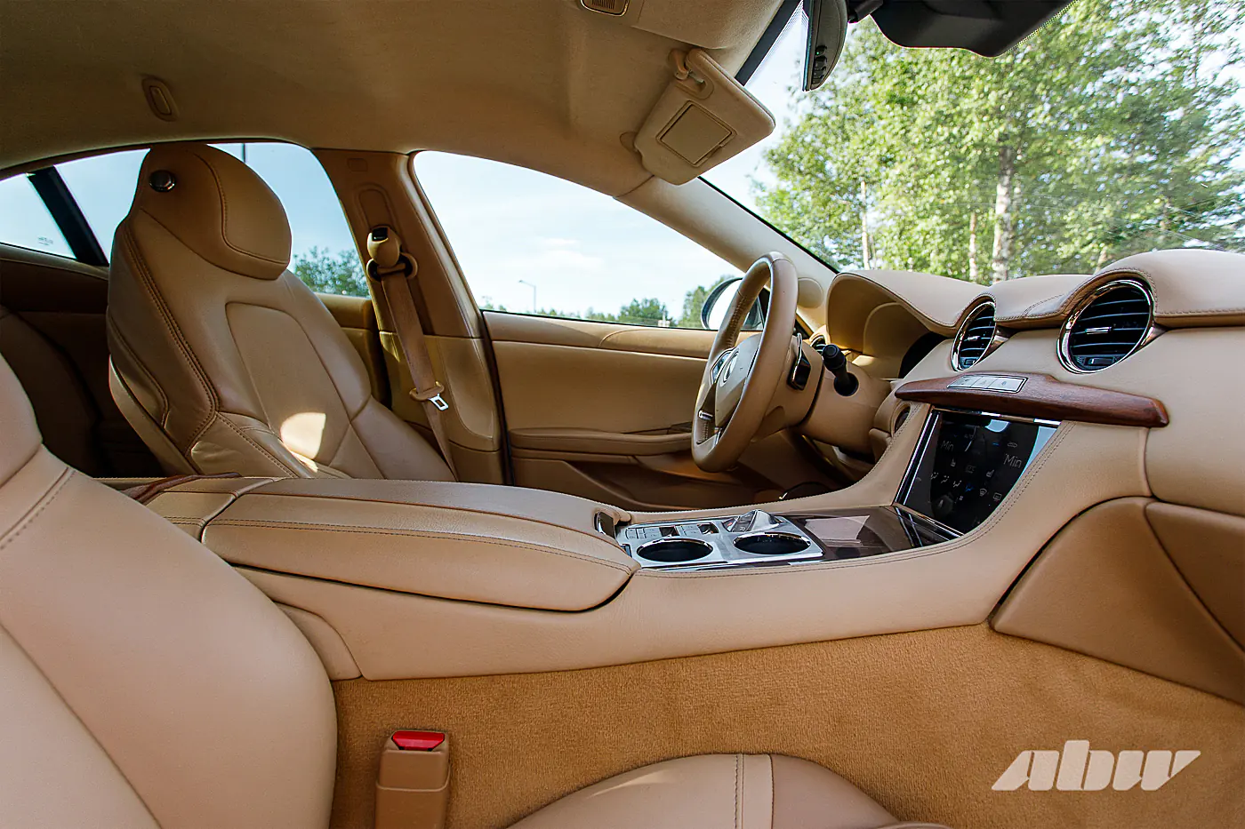 Когда китайцы спасали американскую Karma: изучаем редкий гибрид Revero