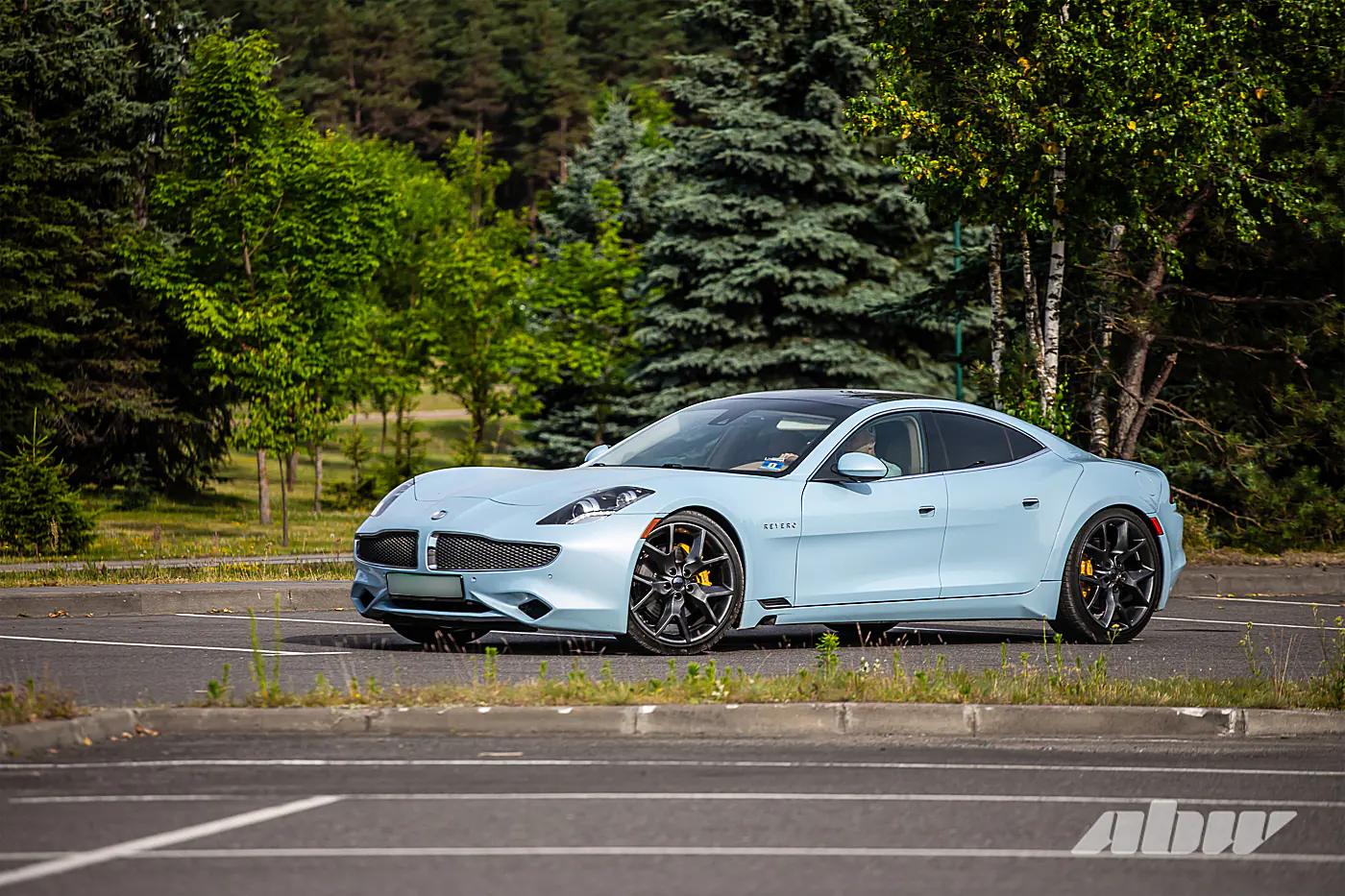 Когда китайцы спасали американскую Karma: изучаем редкий гибрид Revero
