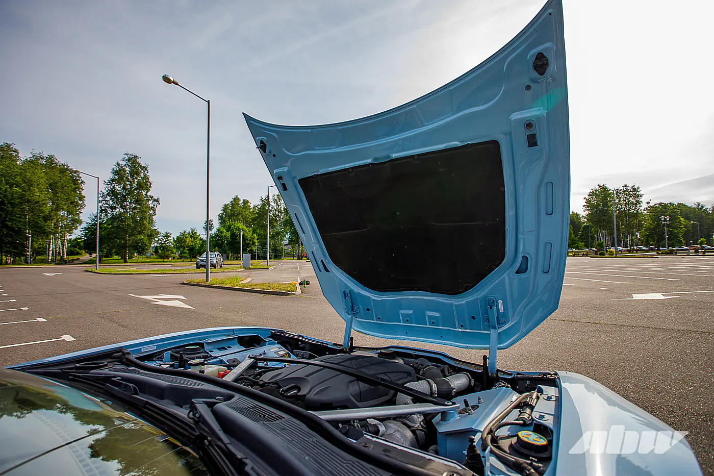 Когда китайцы спасали американскую Karma: изучаем редкий гибрид Revero