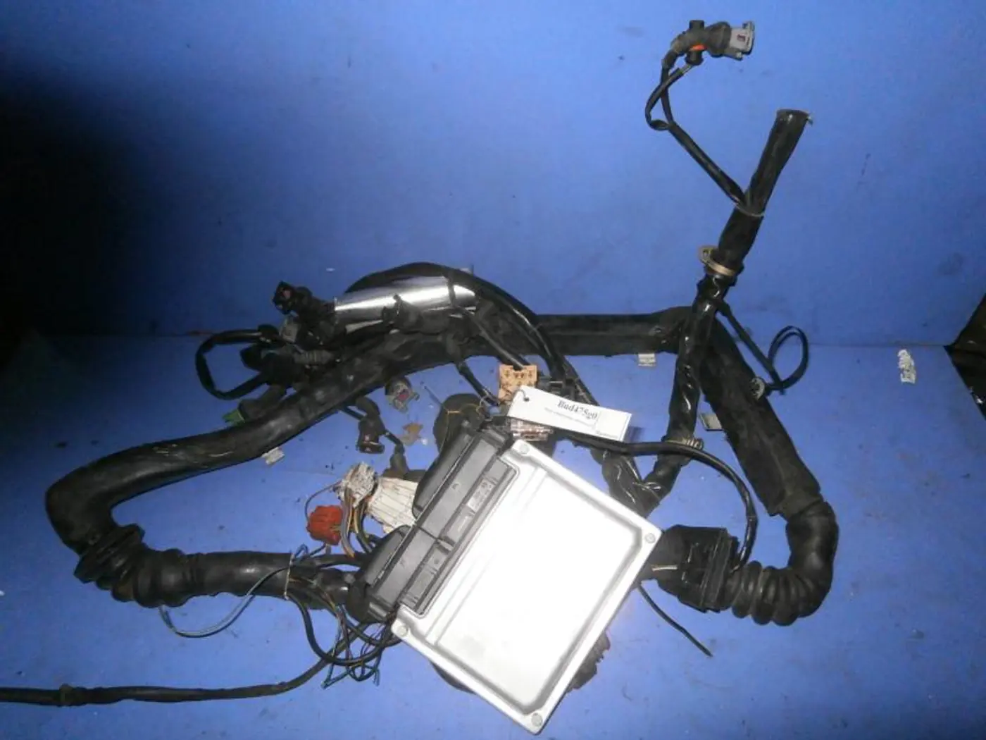 Проводка двигателя к Volkswagen Passat 2002