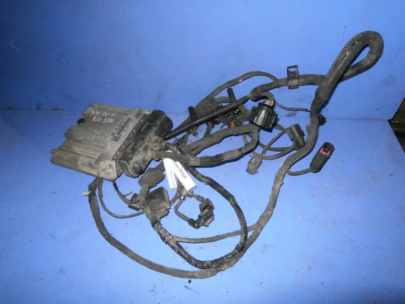 Проводка двигателя к Volkswagen Golf 2006