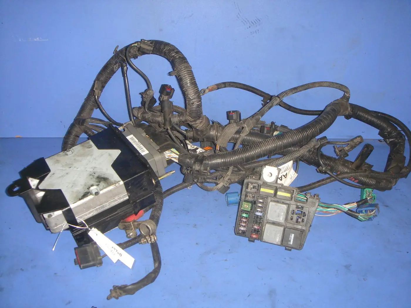Проводка двигателя к Ford Mondeo 2001