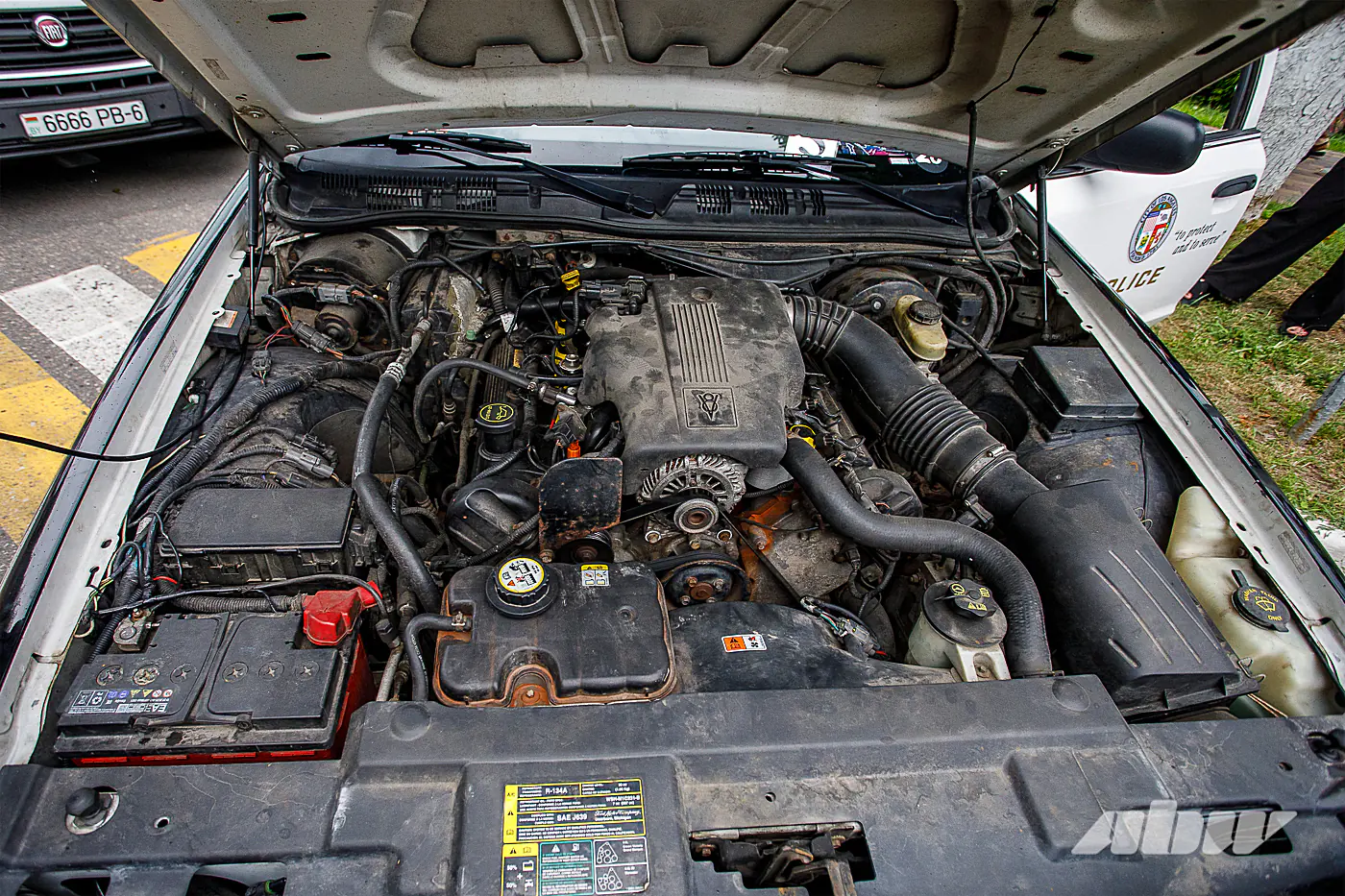 Полицейские на Ford и короли автозвука: наш репортаж с автофеста в Логойске