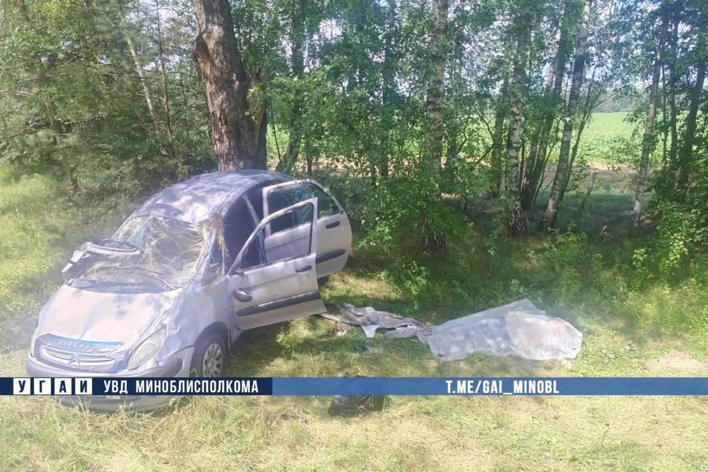 Под Столбцами Citroen вылетел в кювет – погибла пассажирка