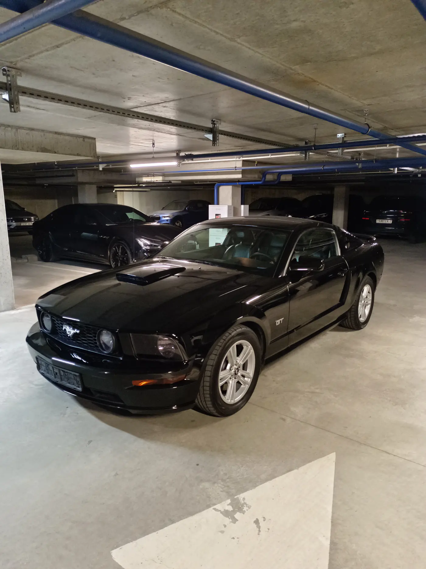 Ford Mustang V, 2007