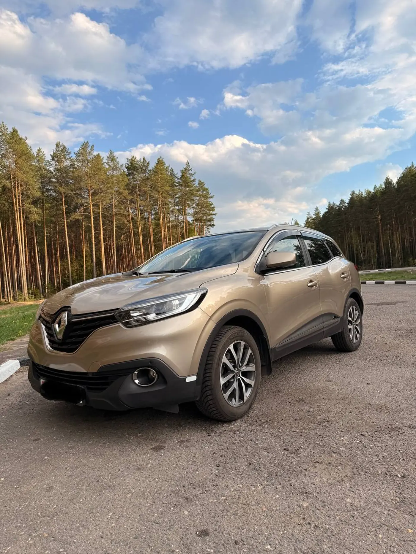 Renault Kadjar I, 2017