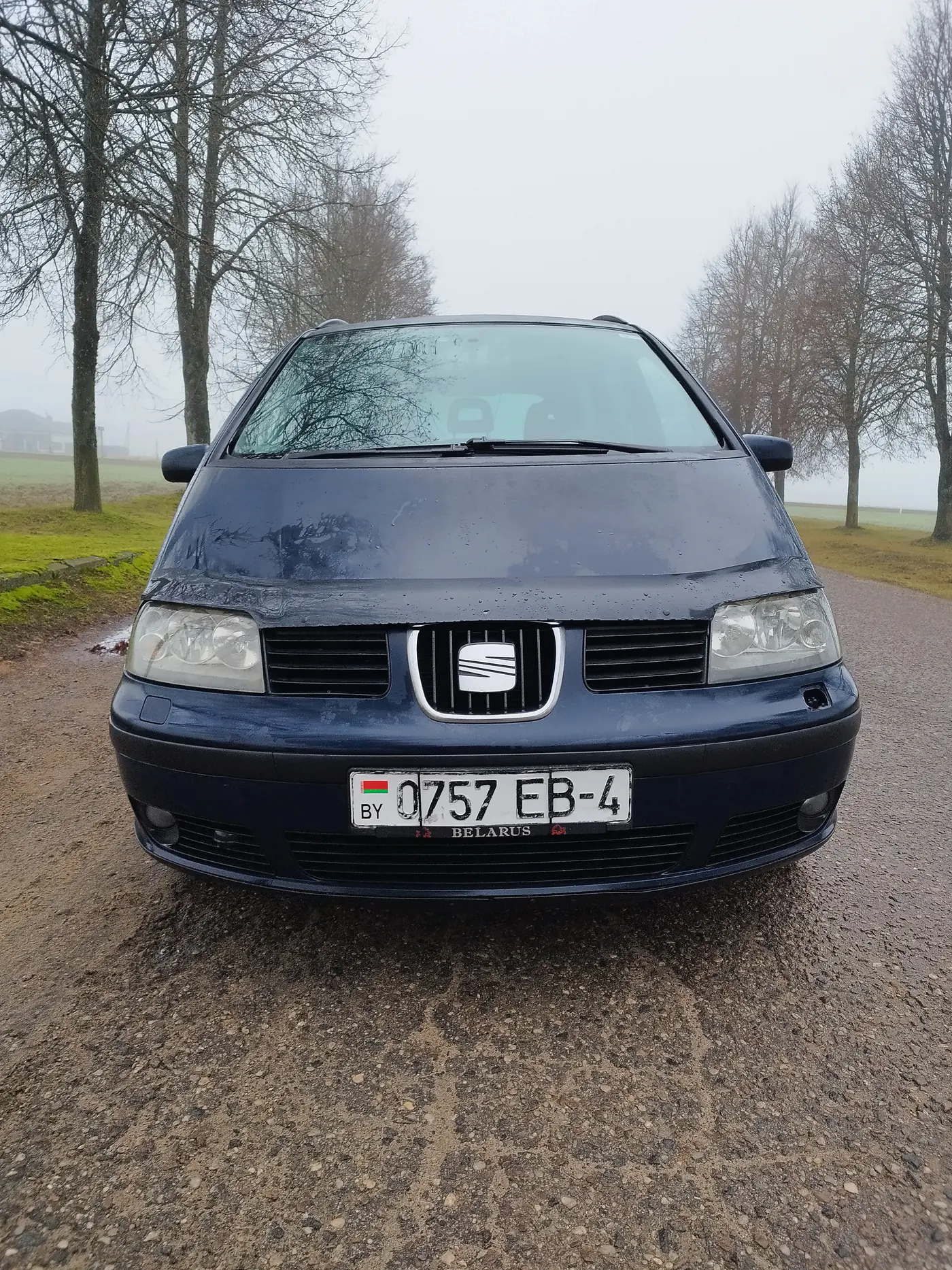 SEAT Alhambra I Рестайлинг, 2005