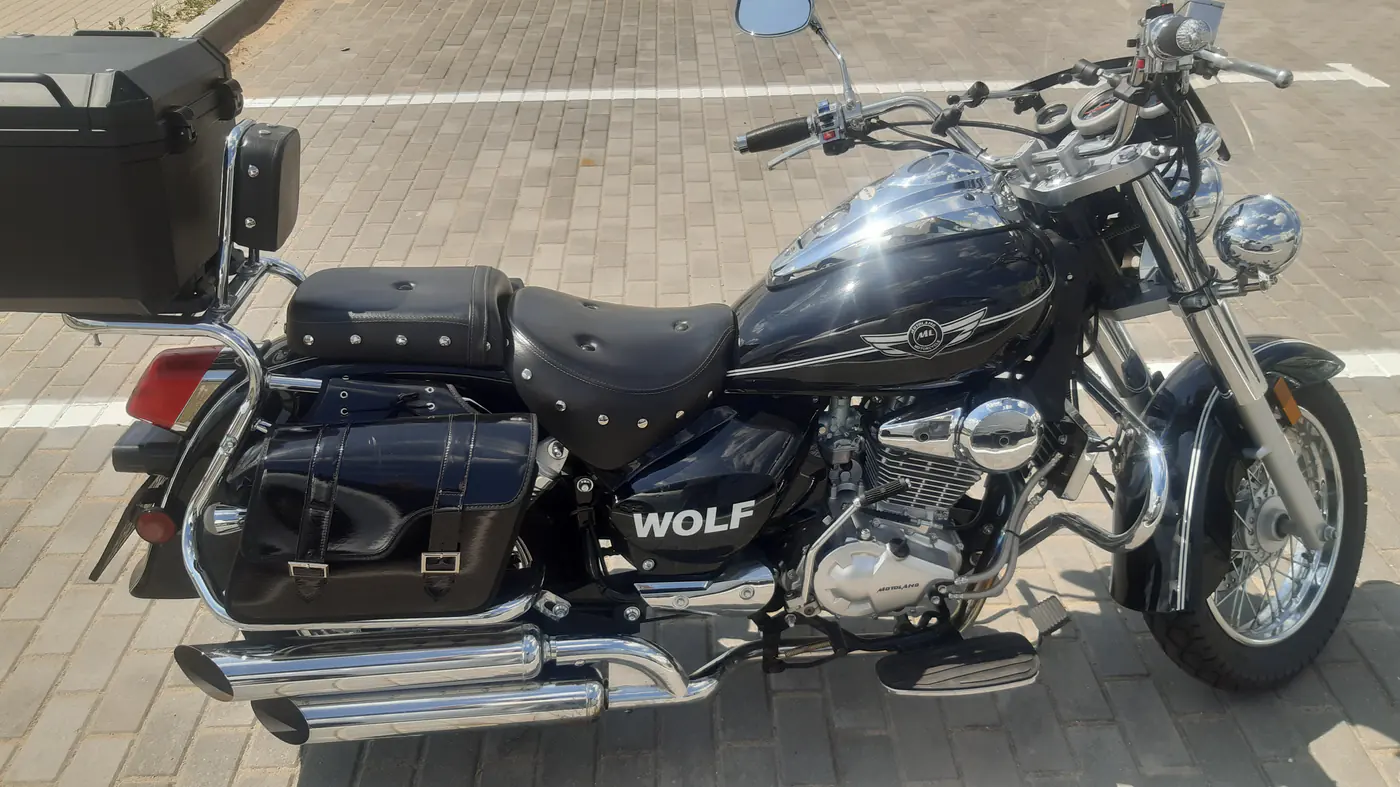 Motoland Wolf 300, 2024