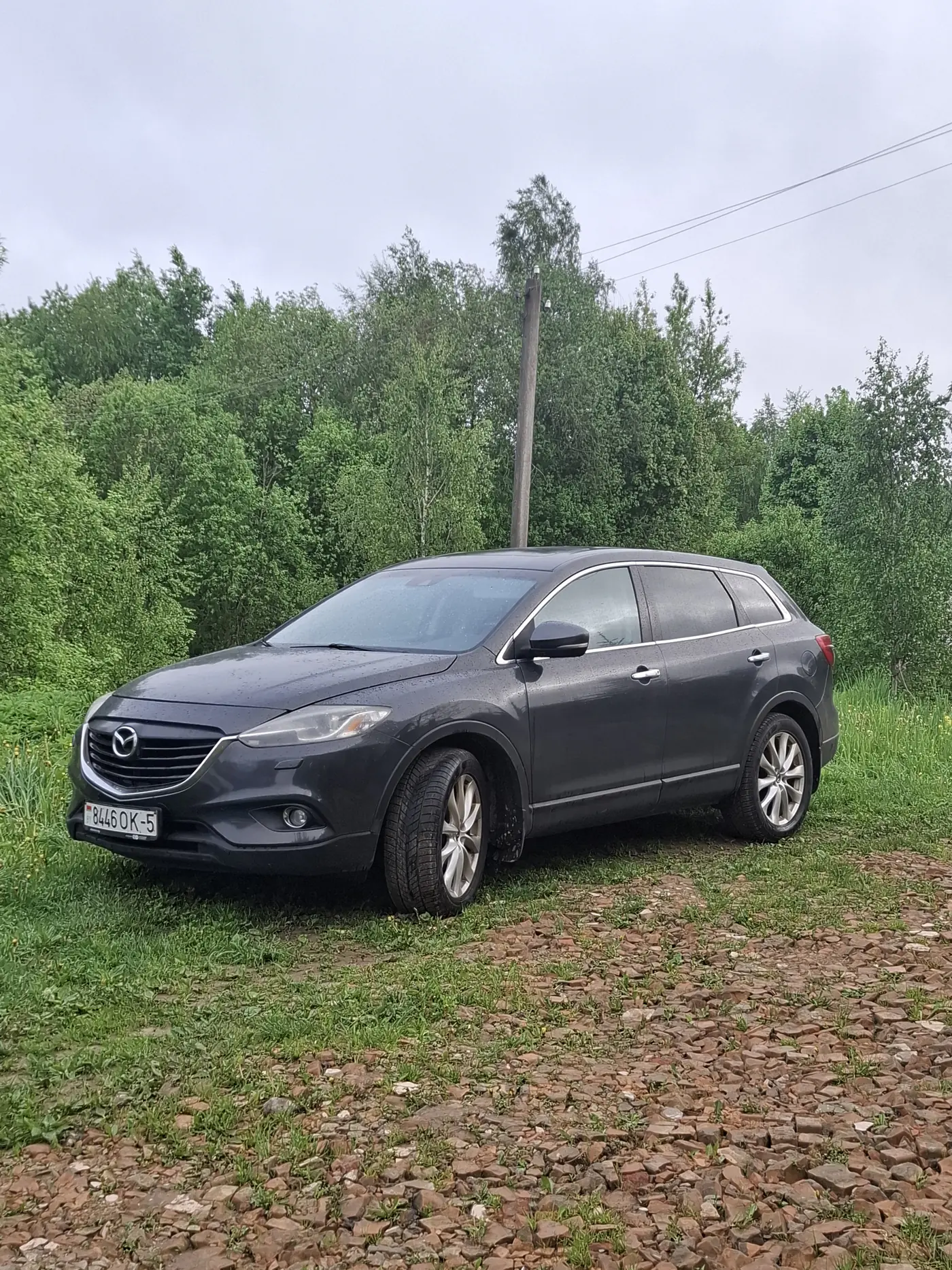 Mazda CX-9 I Рестайлинг, 2014