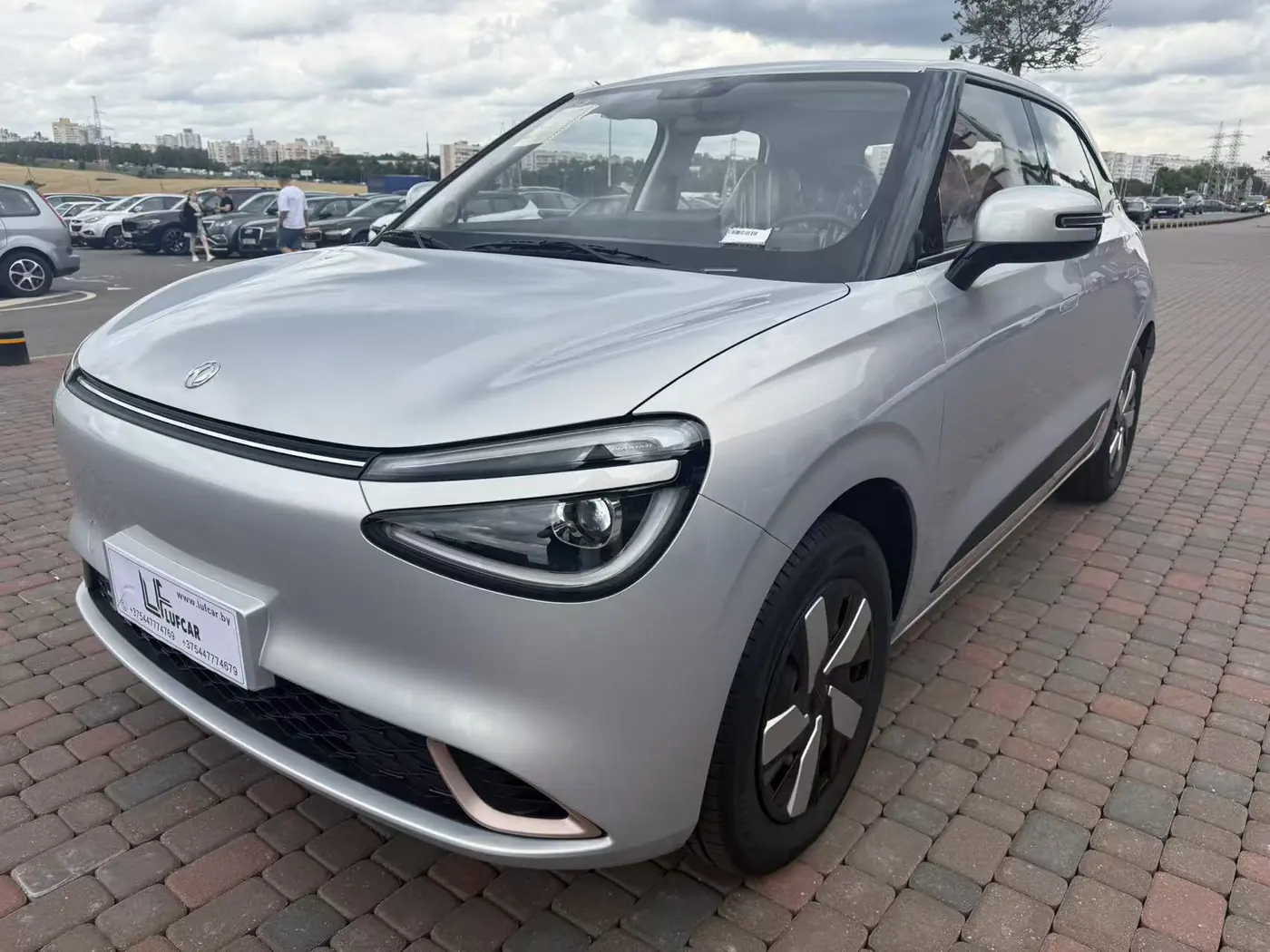 DongFeng Nammi 01 I, 2025