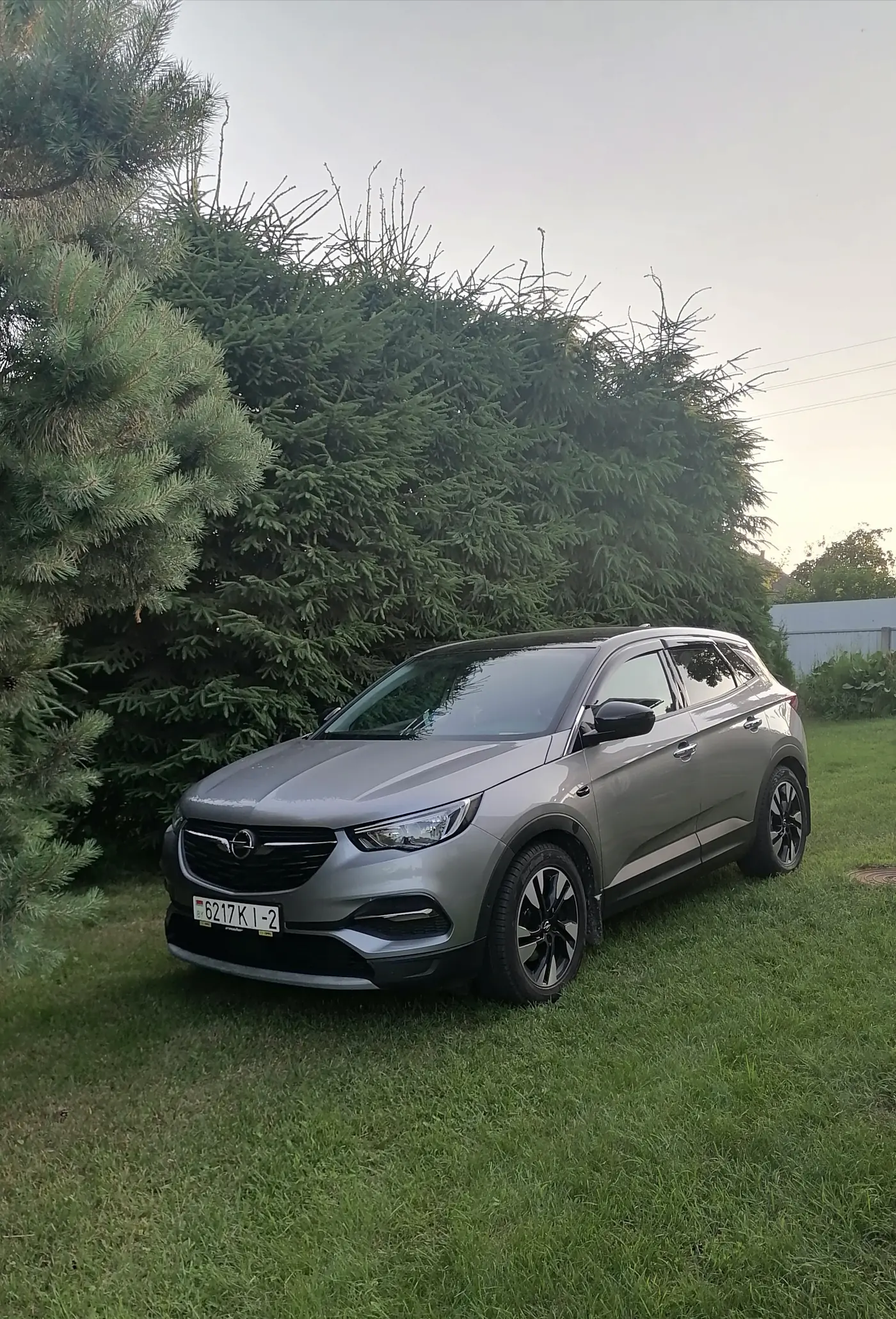 Opel Grandland X I, 2019