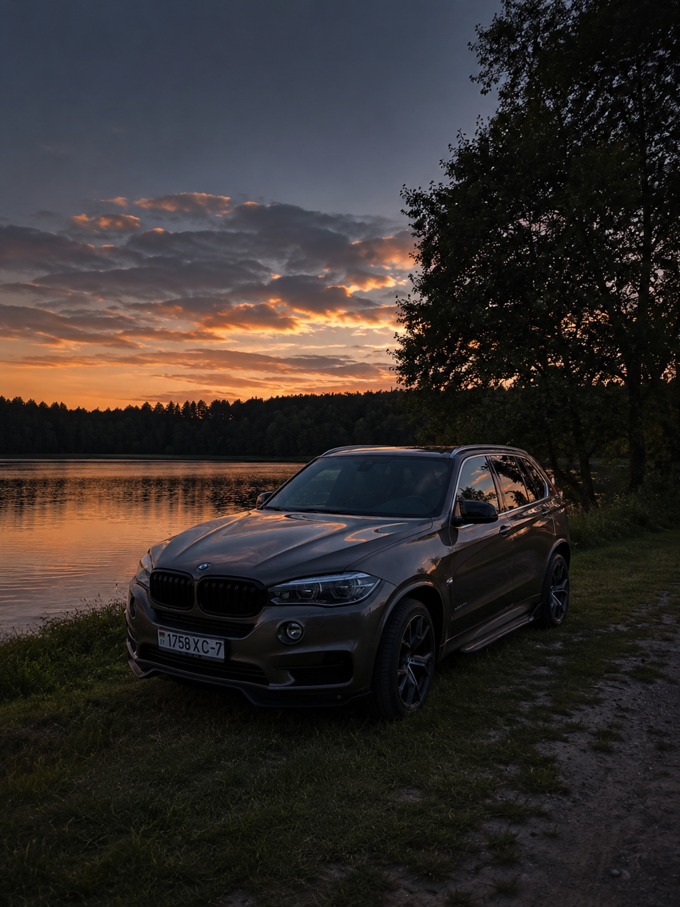 BMW X5 III (F15), 2017