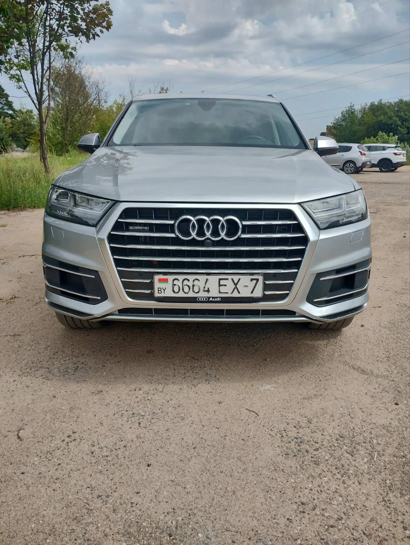 Audi Q7 II (4M), 2019