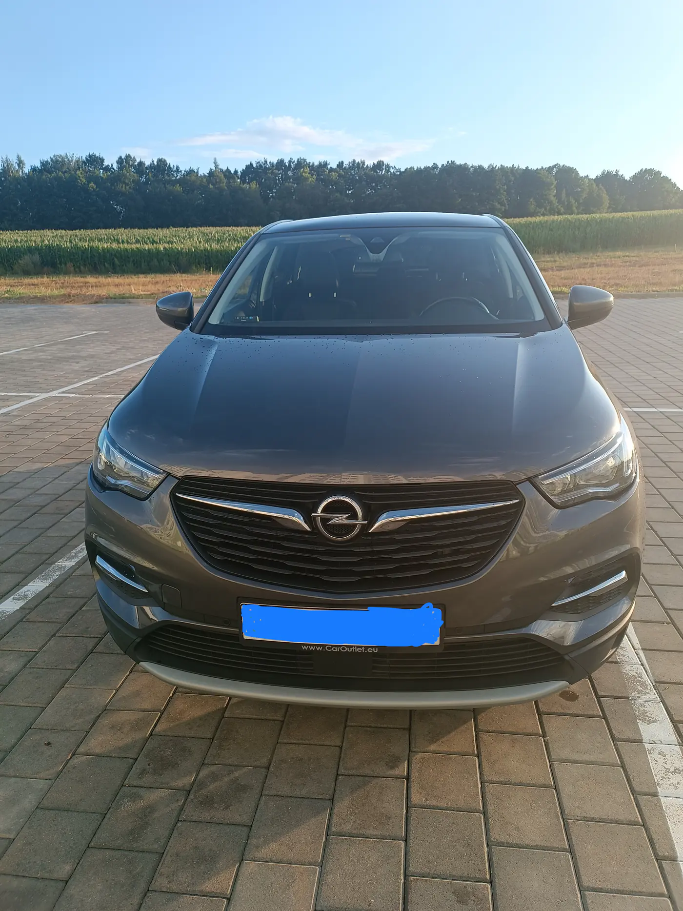 Opel Grandland X I, 2019